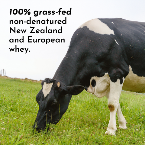 Matcha Mint Protein Powder - College Bath and Body