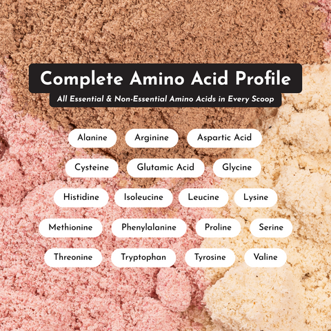 Matcha Mint Protein Powder - College Bath and Body