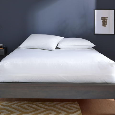 Clean Design Home® Allergen-Proof Pillow Encasement - College Bath and Body