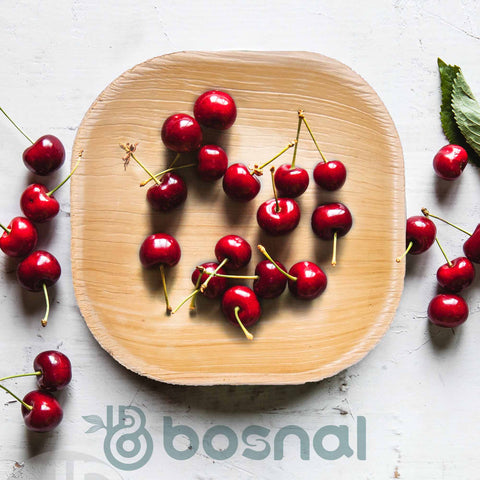 Bosnal - Palm Leaf Biodegradable Plates, 4 inch, Square - College Bath and Body