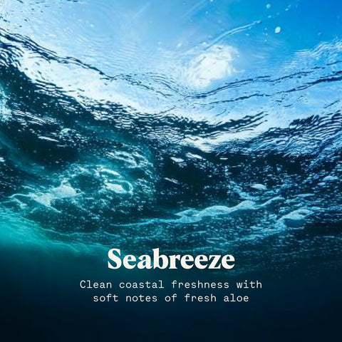 Body Powder - College Bath and Body