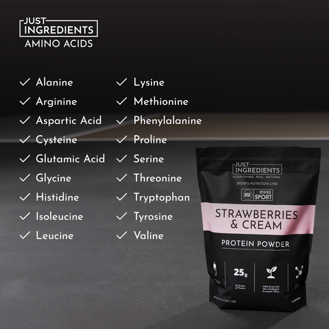 Strawberries and Cream Protein Powder - NSF - College Bath and Body