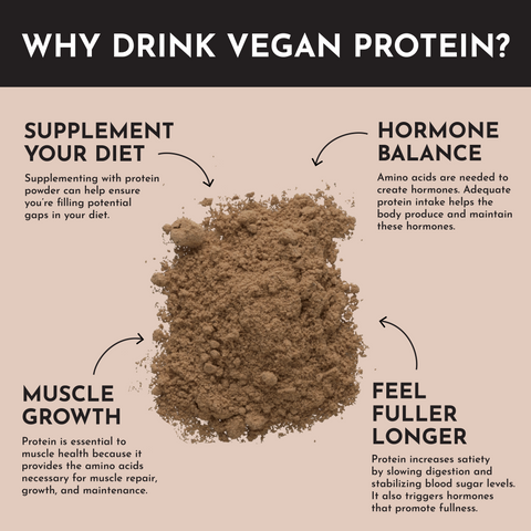 Vegan Chocolate Protein Powder - College Bath and Body