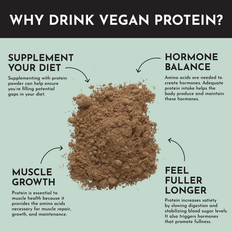 Vegan Mint Chocolate Protein Powder - College Bath and Body