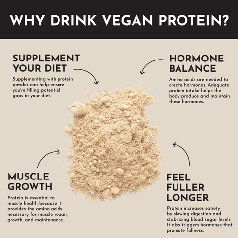 Vegan Vanilla Bean Protein Powder - College Bath and Body