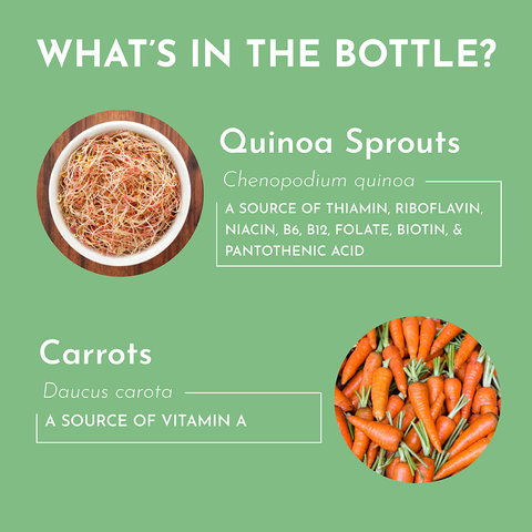 Multivitamin Supplement - College Bath and Body