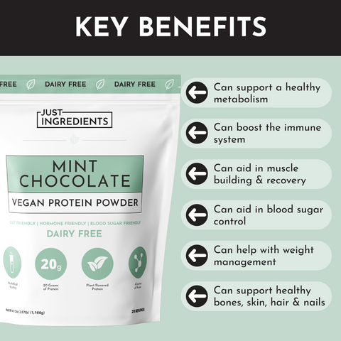 Vegan Mint Chocolate Protein Powder - College Bath and Body