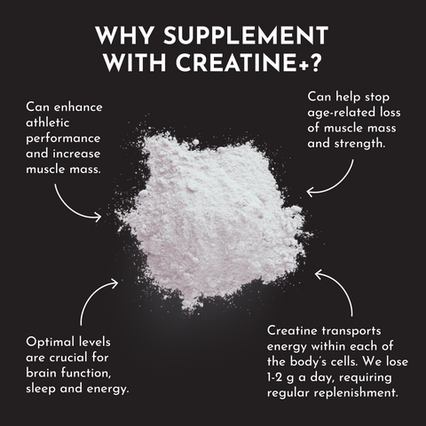 Creatine+ - College Bath and Body
