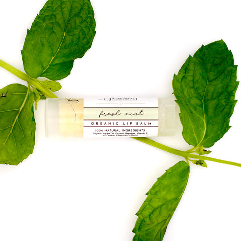 Fresh Mint Organic Lip Balm - College Bath and Body