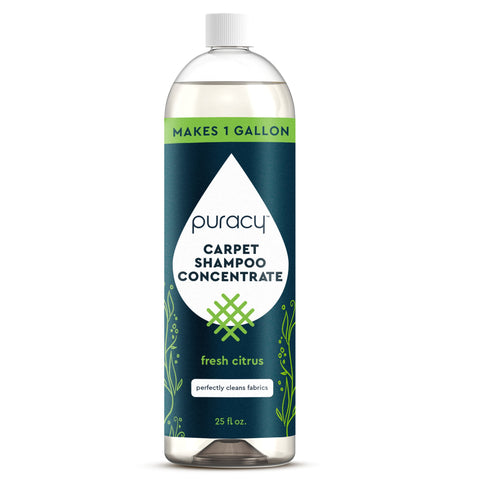 Carpet & Upholstery Shampoo - College Bath and Body