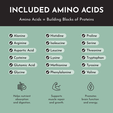 Vegan Mint Chocolate Protein Powder - College Bath and Body