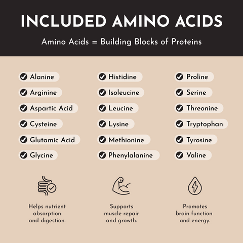 Vegan Snickerdoodle Protein Powder - College Bath and Body