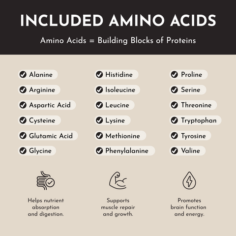 Vegan Vanilla Bean Protein Powder - College Bath and Body