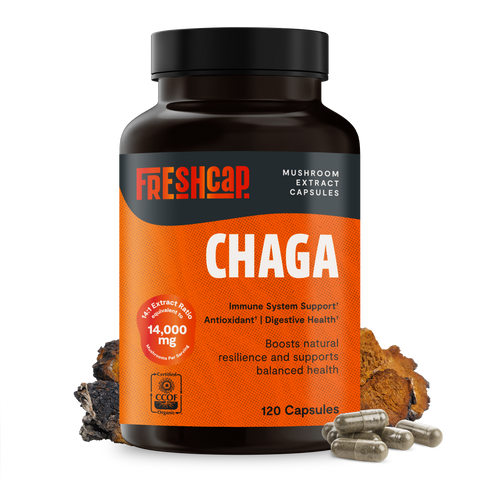 Chaga Mushroom Extract Capsules - College Bath and Body