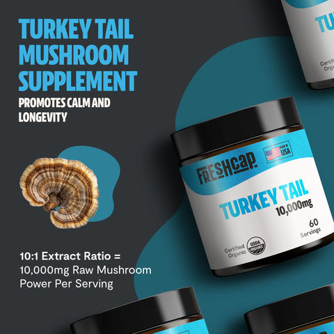 Turkey Tail Mushroom Extract Powder - College Bath and Body