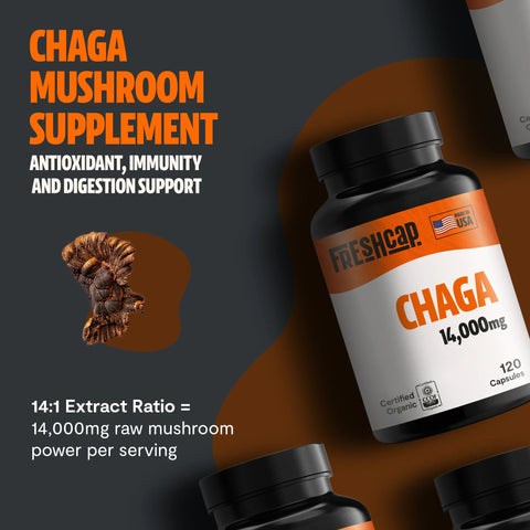 Chaga Mushroom Extract Capsules - College Bath and Body