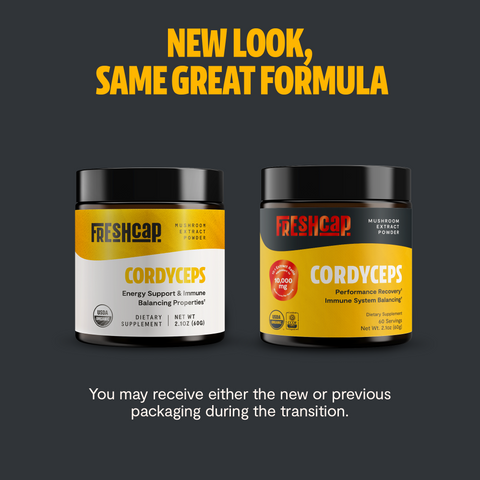 Cordyceps Mushroom Extract Powder - College Bath and Body