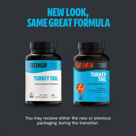 Turkey Tail Mushroom Extract Capsules - College Bath and Body