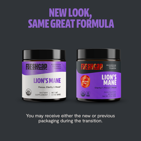 Lion's Mane Mushroom Extract Powder - College Bath and Body