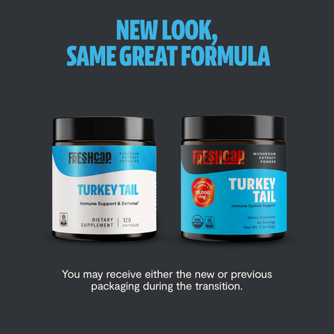 Turkey Tail Mushroom Extract Powder - College Bath and Body