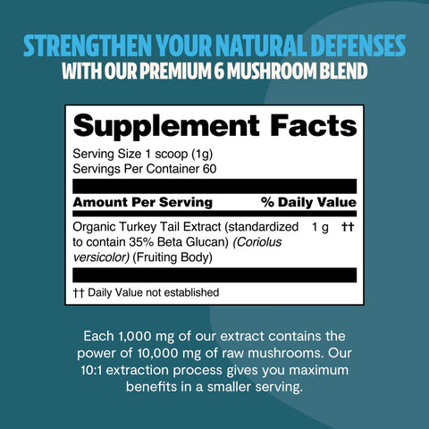 Turkey Tail Mushroom Extract Powder - College Bath and Body