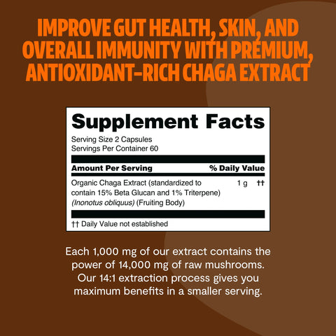 Chaga Mushroom Extract Capsules - College Bath and Body