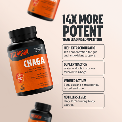 Chaga Mushroom Extract Capsules - College Bath and Body