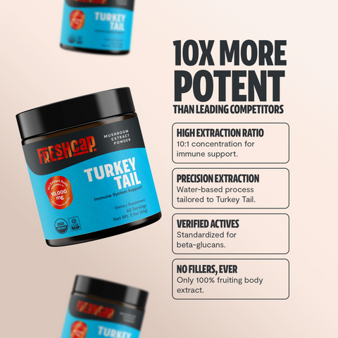 Turkey Tail Mushroom Extract Powder - College Bath and Body