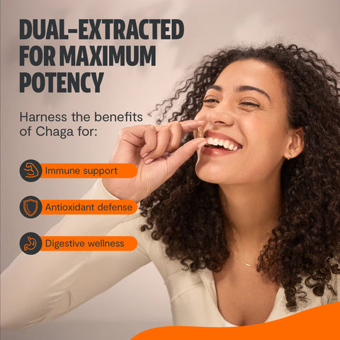 Chaga Mushroom Extract Capsules - College Bath and Body