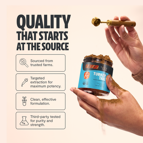 Turkey Tail Mushroom Extract Powder - College Bath and Body