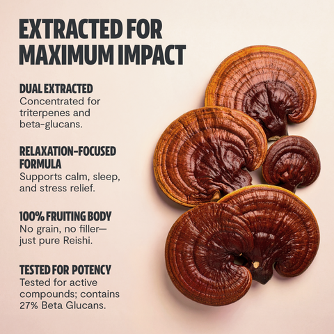 Reishi Mushroom Extract Powder - College Bath and Body