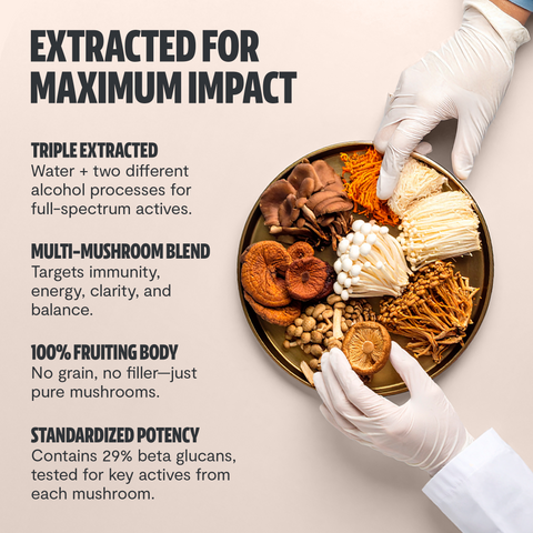 Ultimate Mushroom Complex Capsules - College Bath and Body