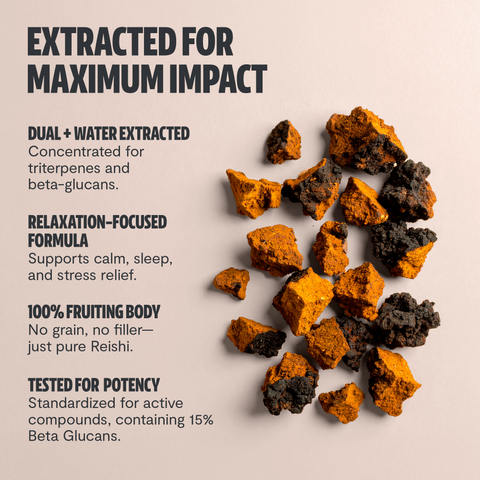 Chaga Mushroom Extract Capsules - College Bath and Body
