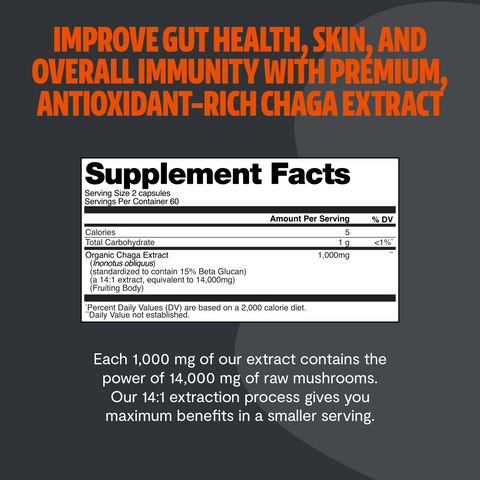 Chaga Mushroom Extract Capsules - College Bath and Body