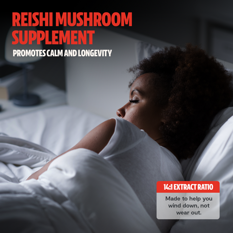Reishi Mushroom Extract Powder - College Bath and Body