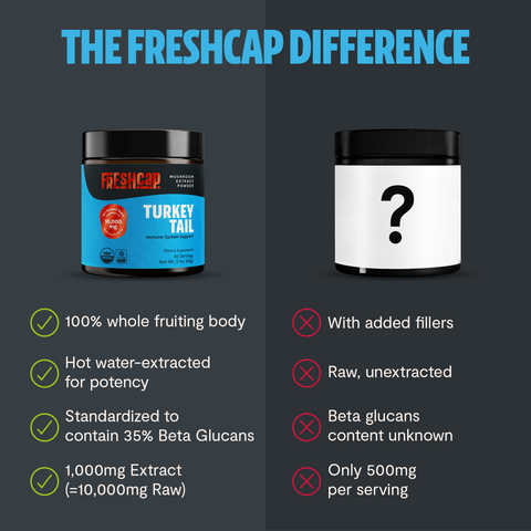 Turkey Tail Mushroom Extract Powder - College Bath and Body