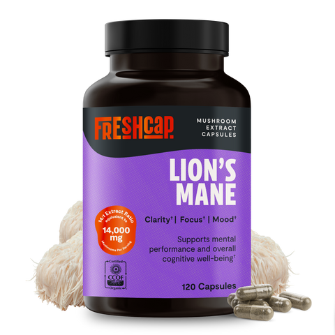 Lion's Mane Mushroom Extract Capsules - College Bath and Body