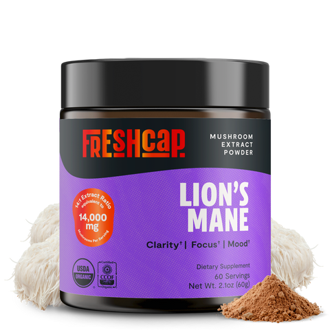 Lion's Mane Mushroom Extract Powder - College Bath and Body