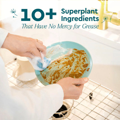 Dish Soap - College Bath and Body