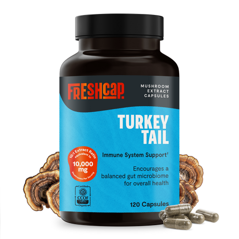 Turkey Tail Mushroom Extract Capsules - College Bath and Body