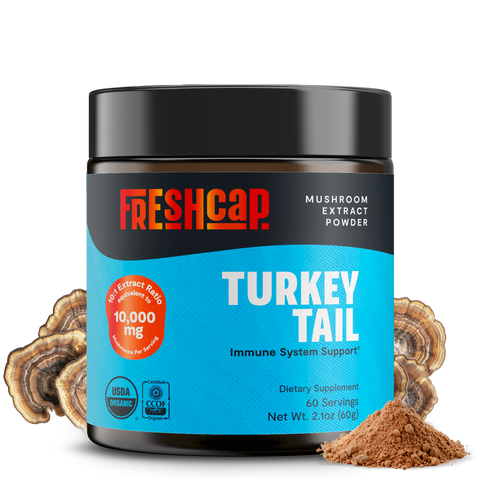 Turkey Tail Mushroom Extract Powder - College Bath and Body