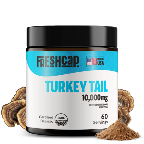 Turkey Tail Mushroom Extract Powder - College Bath and Body